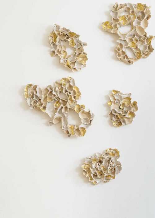 Lumière dorée collection