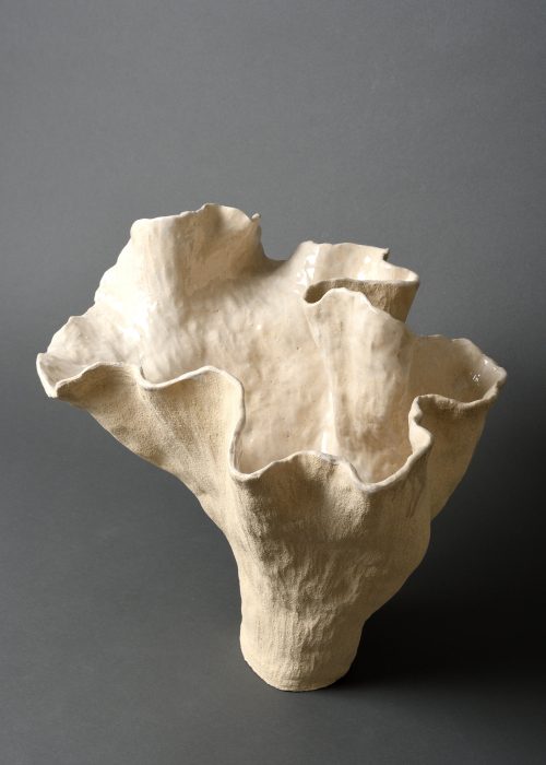 L'envol maj